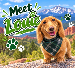 Louie, the dog behind Louie's Super Scoopers